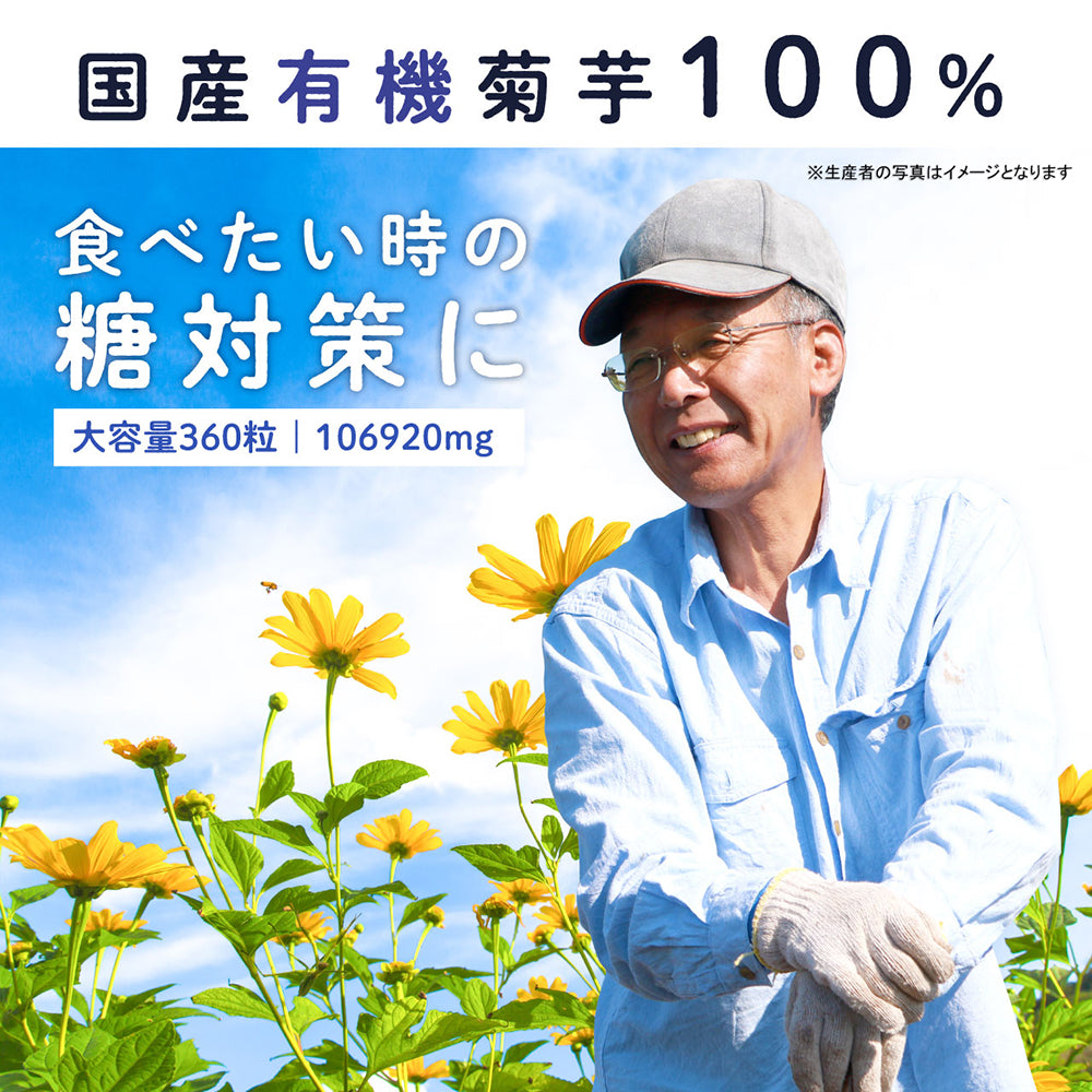 菊芋ざんまい360粒